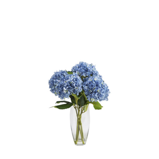 Blue Hydrangeas in Glass Vase - 209104