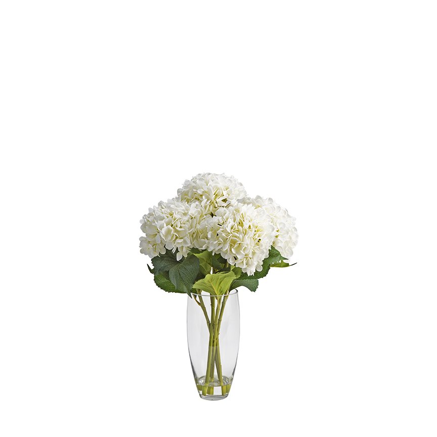 White Hydrangeas in Aurora Vase - 209105