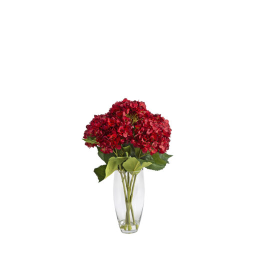 Burgundy Hydrangeas in Glass Vase - 209107