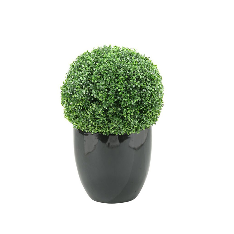 30" Boxwood Ball in Large Taylor Planter - 312110