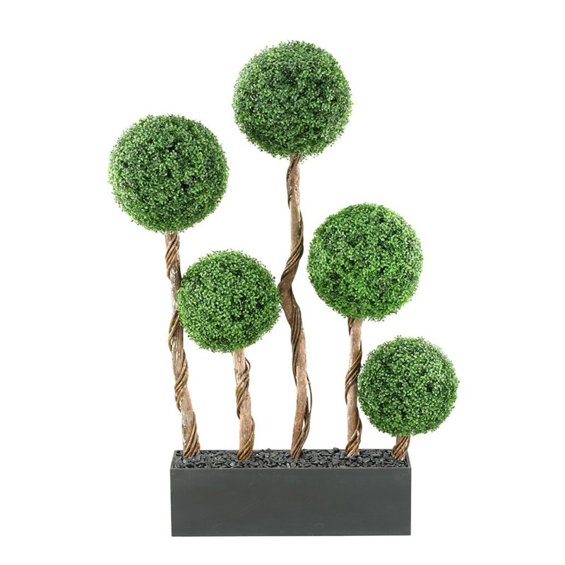 6.5' Boxwood Ball Screen in Rectangle Planter - 312133