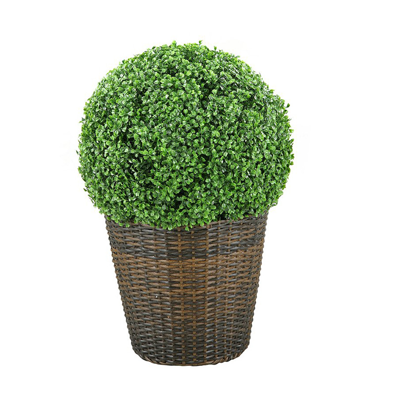 Boxwood Ball in Round Basket - 313419