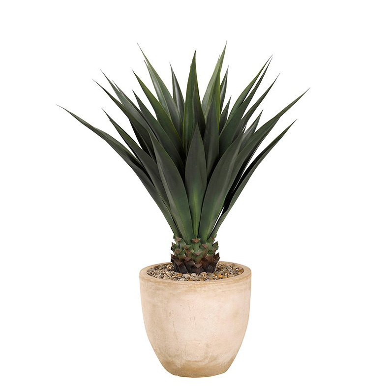 48" Jumbo Agave Plant in Medium Grove Planter - 317111