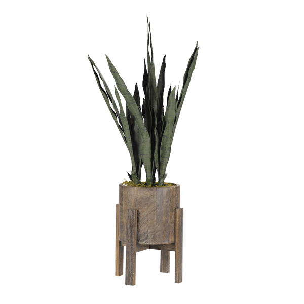 Mother-in-Law's Tongue Plant in Small Cooper Planter - 318906