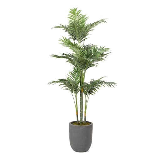 Golden Palm Tree in XS Campbell Planter - 319106