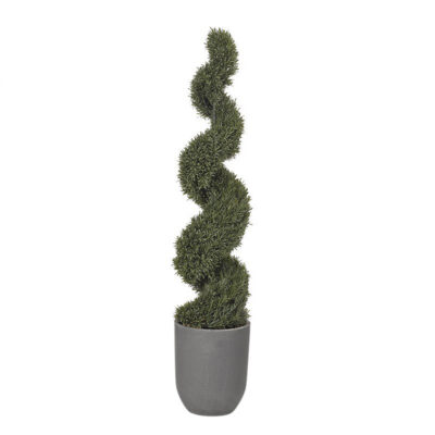 Spiral Rosemary Topiary in Medium Campbell Planter 6' - 319108