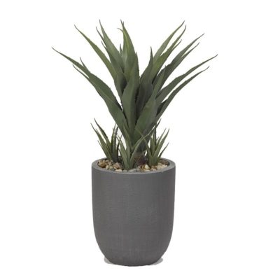 34" Sisal Plant in XS Campbell Planter - 319121