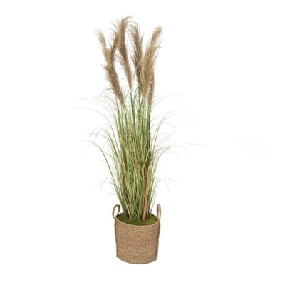 6' Reed Grass in Large Wyatt Basket - 319905