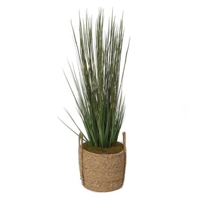 Onion Grass in Large Wyatt Basket - 320420