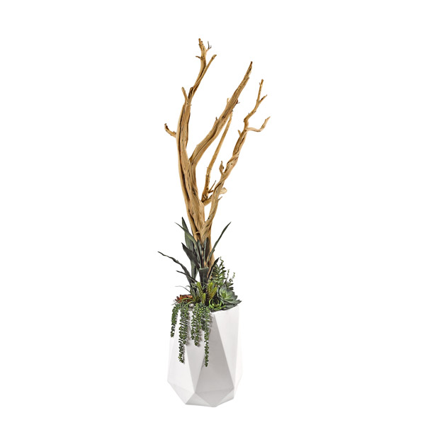 7' Ghostwood with Assorted Succulents and Greenery in White Large Raye Planter - 320907