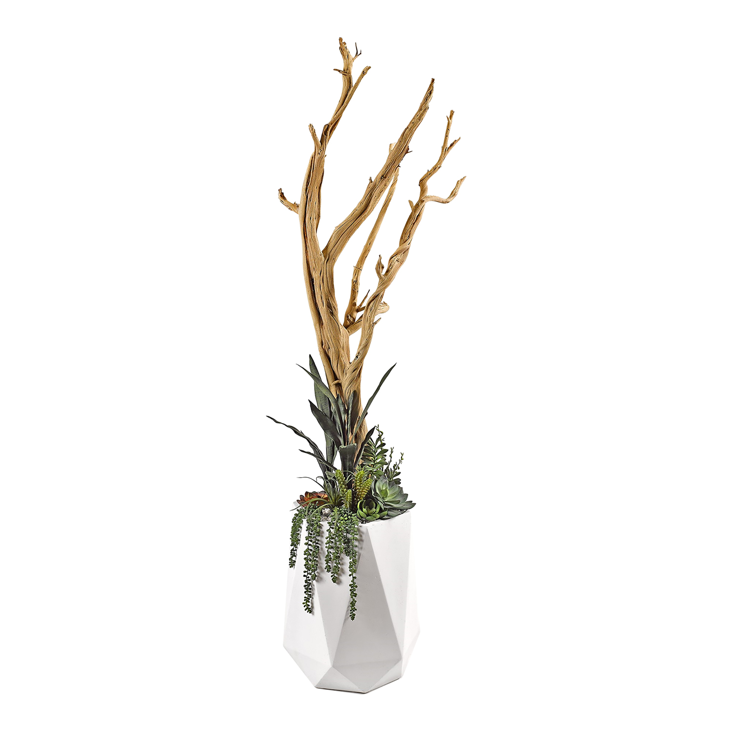 Ghostwood, Succulents & Greenery in Raye Planter 7' - 320907