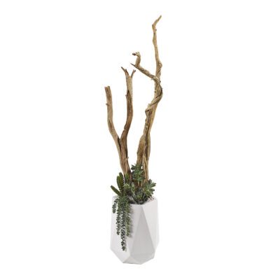 Ghostwood, Assorted Succulents & Greenery in Raye Planter 5' - 320908