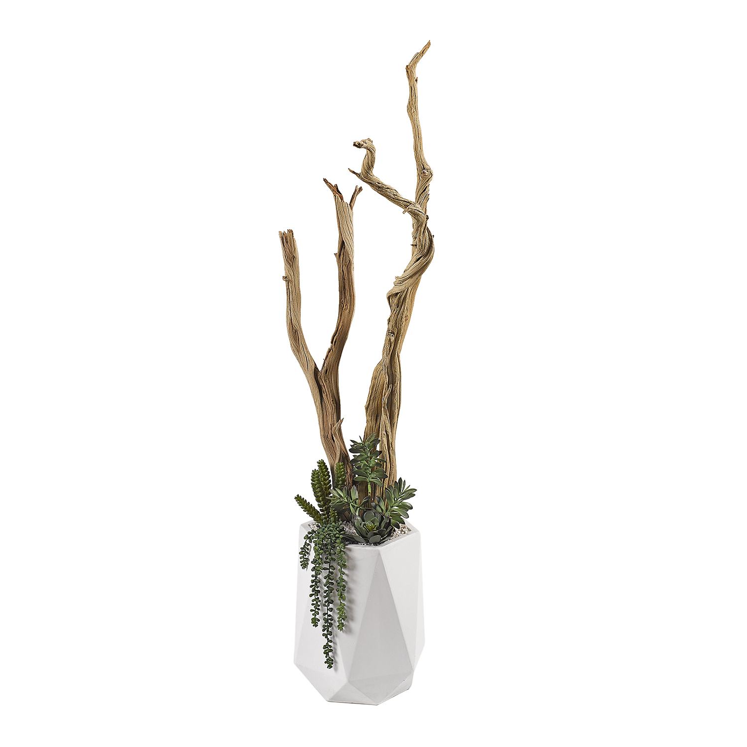 Ghostwood, Assorted Succulents & Greenery in Raye Planter 5' - 320908