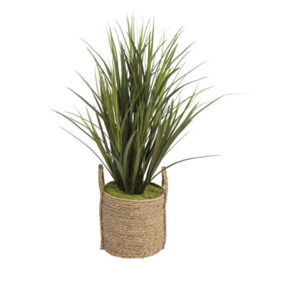 Tall Grass in Wyatt Basket - 320918