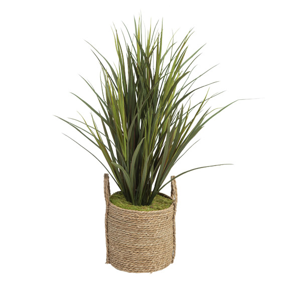 Tall Grass in Small Wyatt Basket - 320918