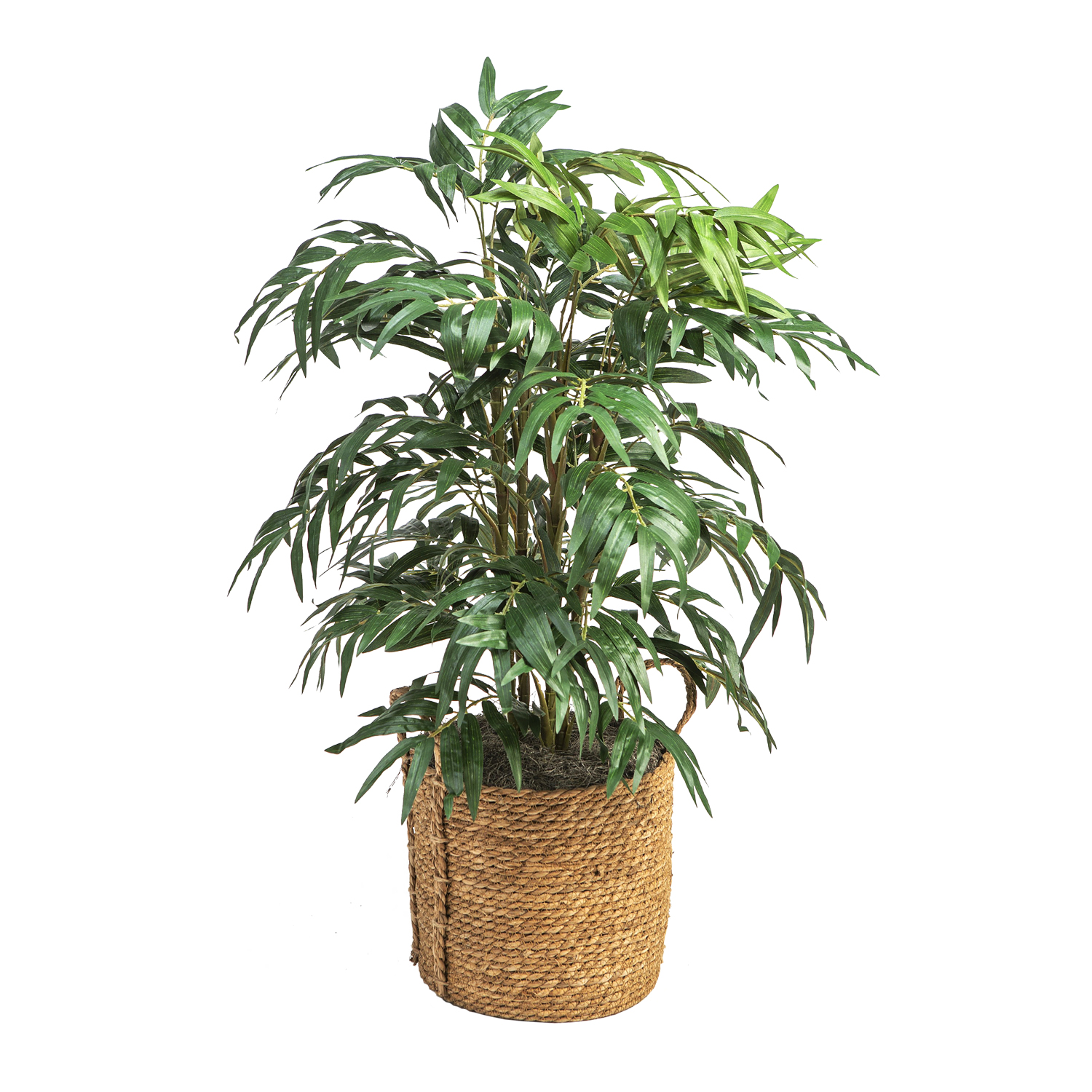 Phoenix Palm in Wyatt Basket 3.2' - 320919