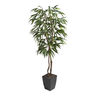 Weeping Ficus Tree in Cardinal Planter 6' - 320922