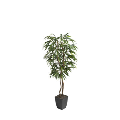 Weeping Ficus Tree in Cardinal Planter 6' - 320922