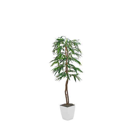 Weeping Ficus Tree in Cardinal Planter 6' - 320928