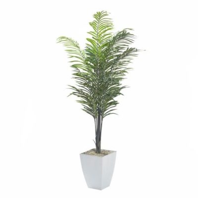 7' Areca Palm in Large White Cardinal Planter - 320935
