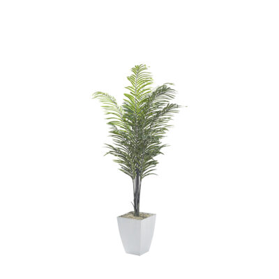 Areca Palm in Cardinal Planter 7' - 320935