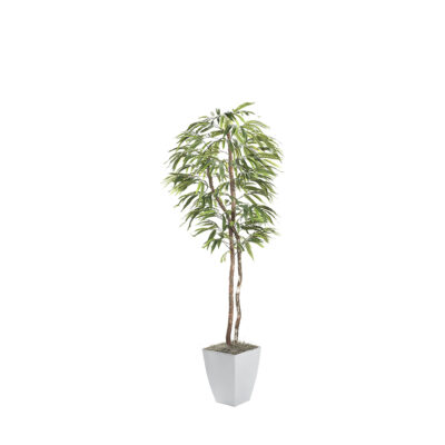 Weeping Ficus Tree in Cardinal Planter 7' - 320941