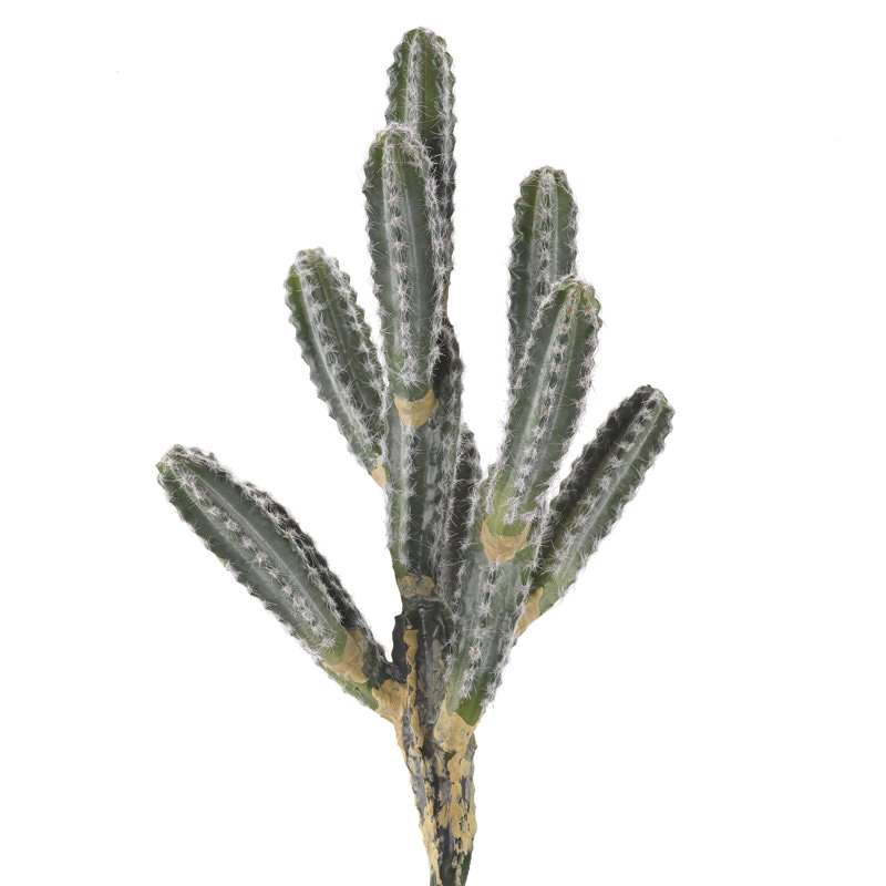14" 9 Arm Cactus Planter - GR2001