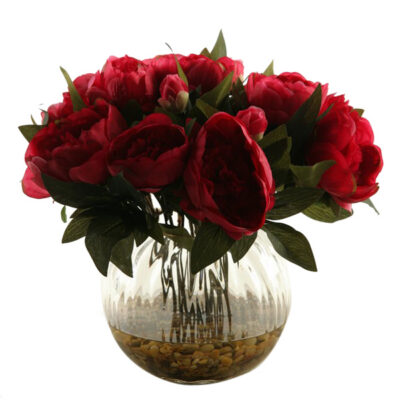 Burgundy Peonies in Glass Ball - 149104