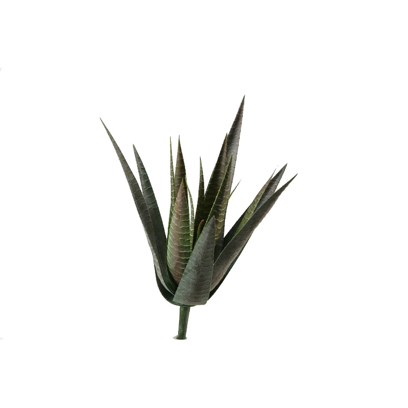 Spiky Agave Plant - GR972