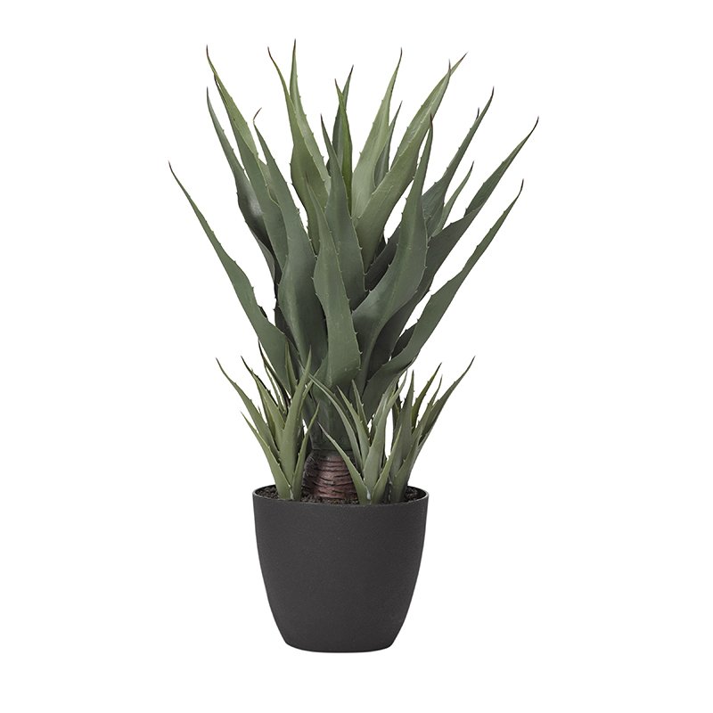 Sisal Plant with Sprouting Succulents - TL818 - D&W Silks