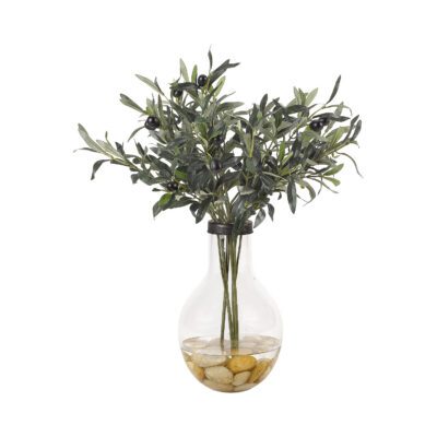 Olive Branches in Large Firefly Lightbulb Vase - 212004