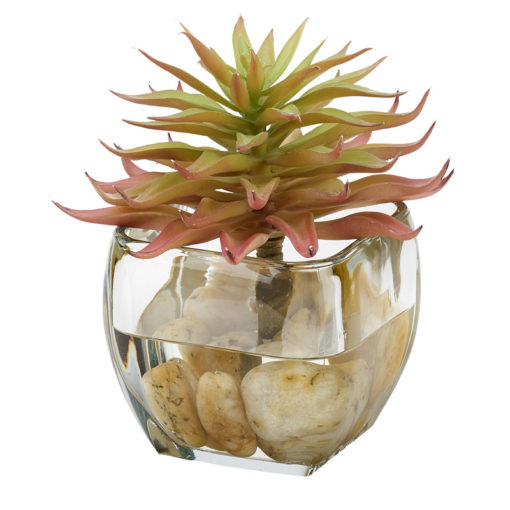Pink Single Stem Succulent in Bevel Vase - 212006