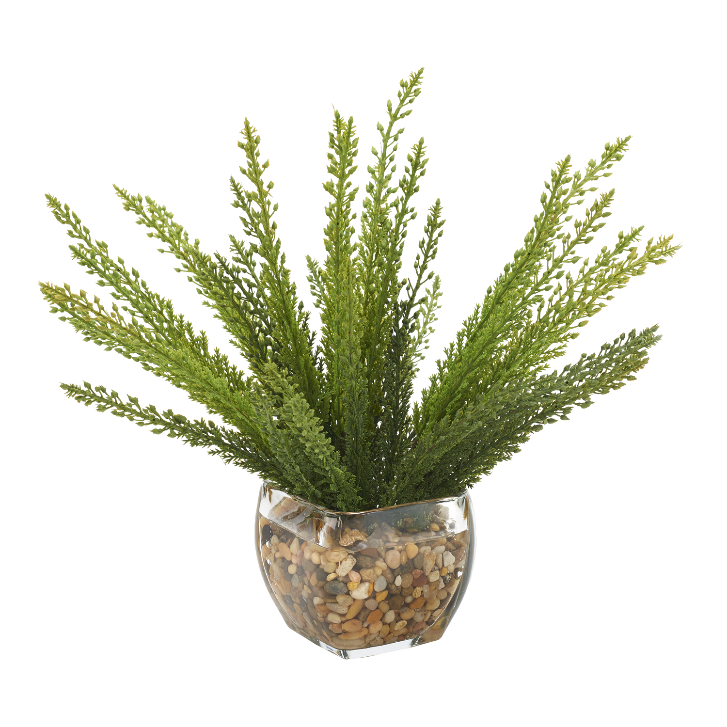 Heather Fern in Bevel Vase - 212009