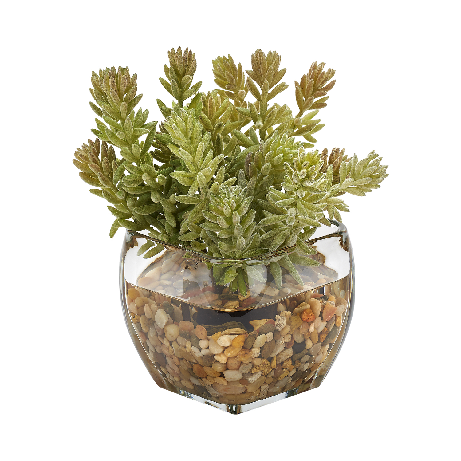 Flocked Mini Succulent in Bevel Vase - 212010