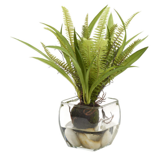 Fern in Bevel Vase - 212014