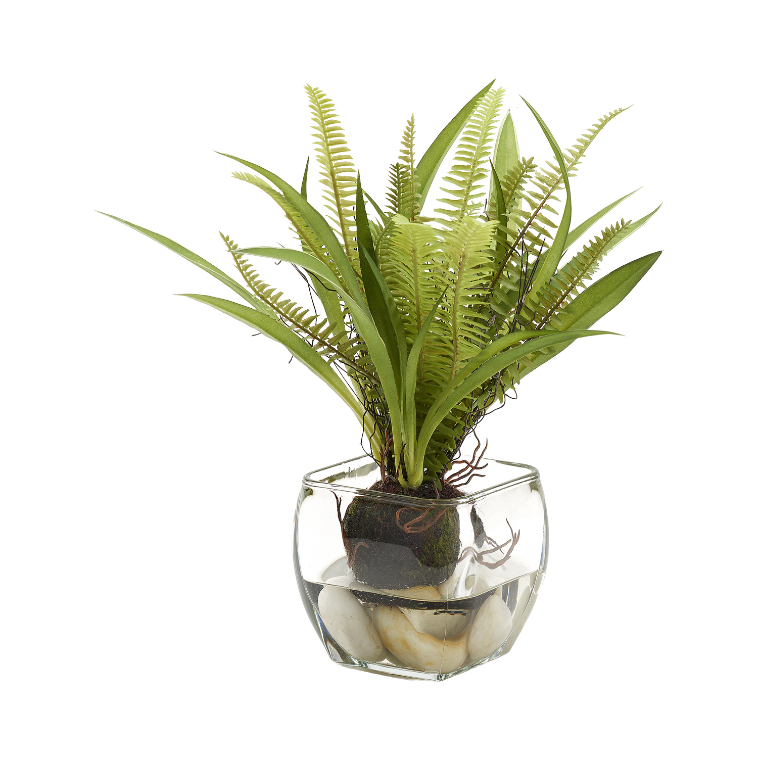 Fern in Bevel Vase - 212014