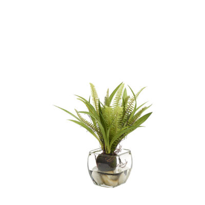 Fern in Bevel Vase - 212014