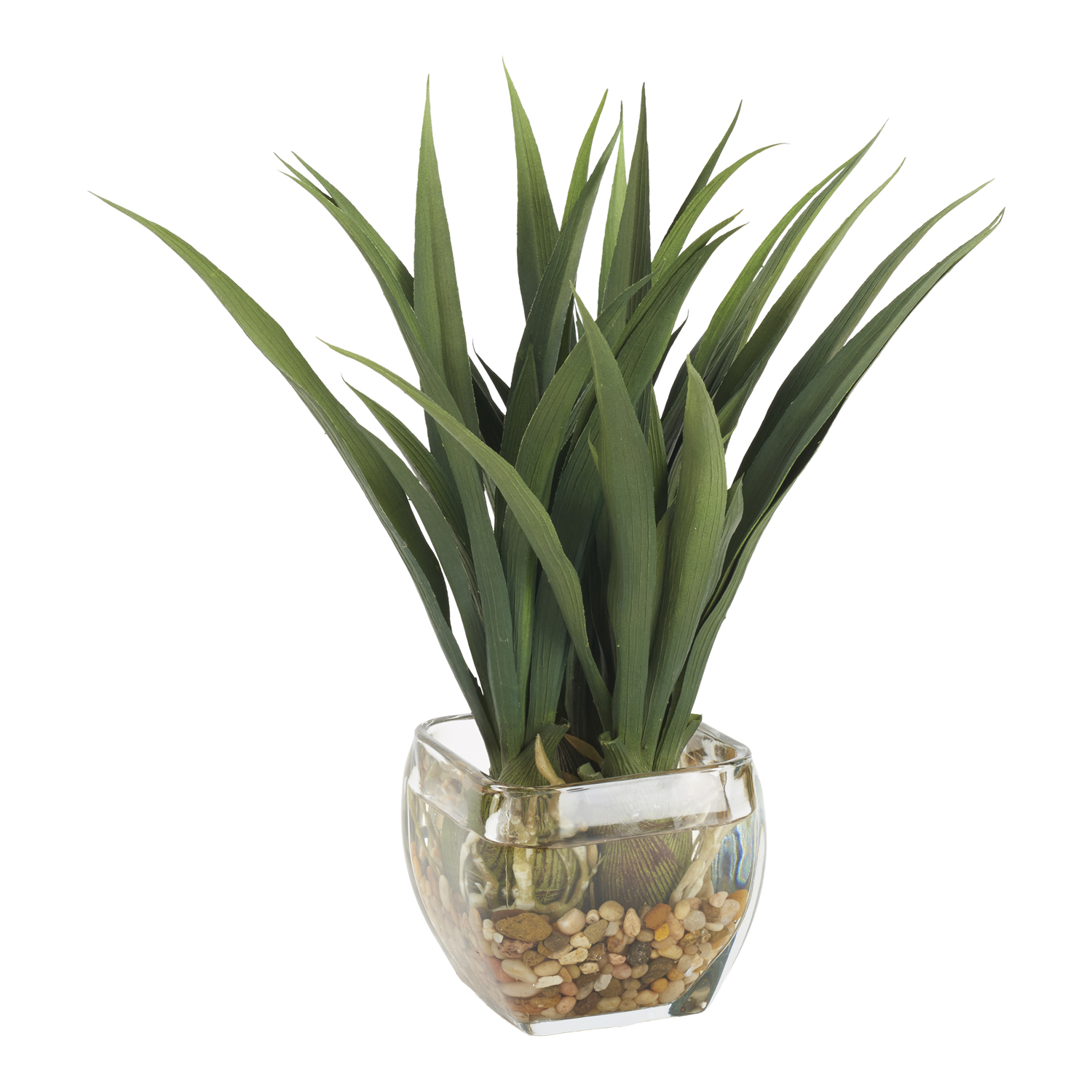 Green Lily Grass in Bevel Vase - 212017