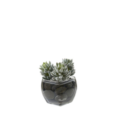 Flocked Agave in Bevel Vase - 212018