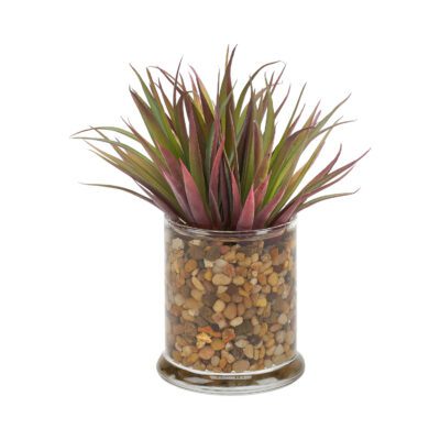 Small Pineapple Succulent in Shale Vase - 212019
