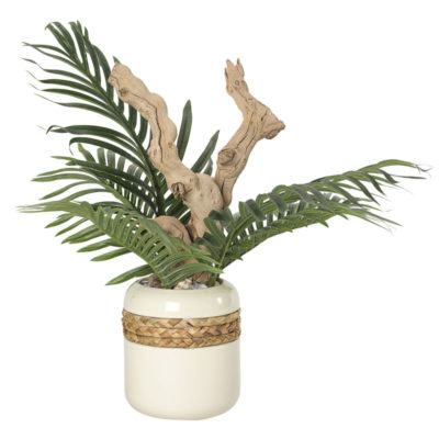 Hawaiian Palm Fronds and Grapevine Root in Medium Gemma Planter - 212031