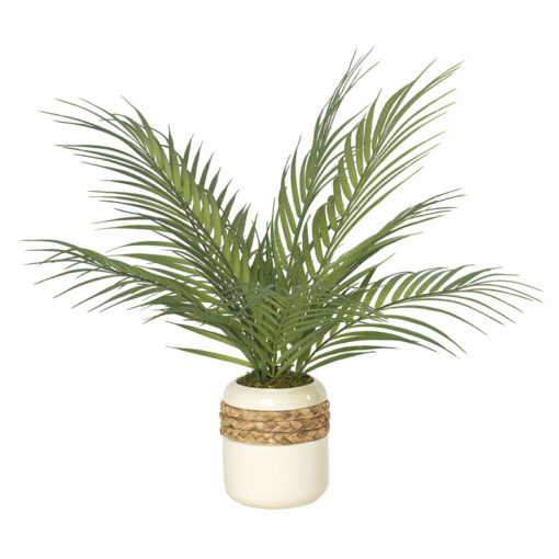 Areca Palm Fronds in Cream Ceramic Planter - 212032