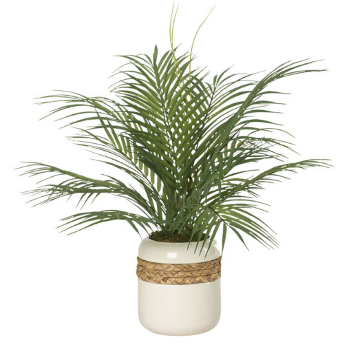 Areca Palm Fronds in Medium Gemma Planter - 212034