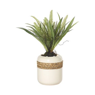 Fern Plant in Gemma Planter - 212035