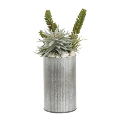 Light Green Single Stem Succulent and Mini Flocked Green Aloe in Harvest Vase - 212052