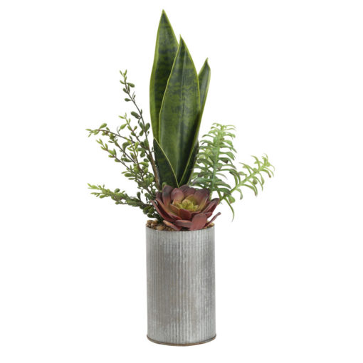 Green Mother-in-Law's Tongue, Single Stem Succulent, and Hen and Chick in Harvest Vase - 212054