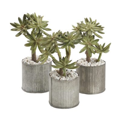 Jade in Harvest Vase - Set of 3 - 212058