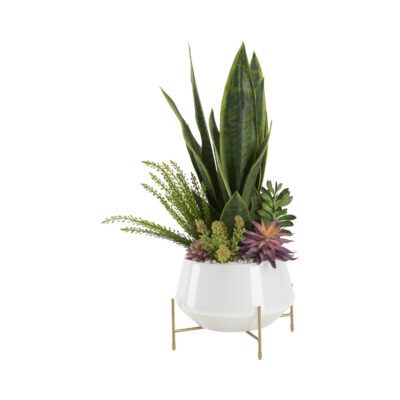Sansevieria with Succulents in Parson Planter - 212059
