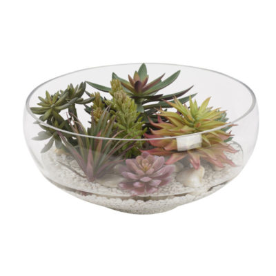 Flocked Agave, Purple Echeveria, Frosted Pink Echeveria and Pineapple Succulent in Terrarium Bowl - 212060