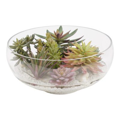Echeveria, Flocked Agave, and Pineapple Succulent in Terrarium Bowl - 212060